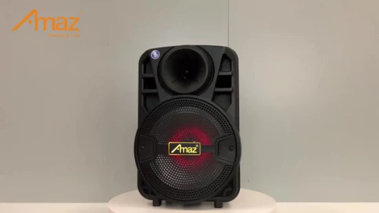 Altavoces portátiles Amaz Mini altavoz para fiestas de 8 pulgadas con micrófono